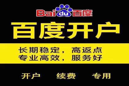 百度竞价运营实战技巧：案例分析与优化